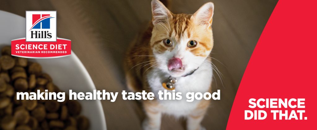 Hill's Science Diet Adult